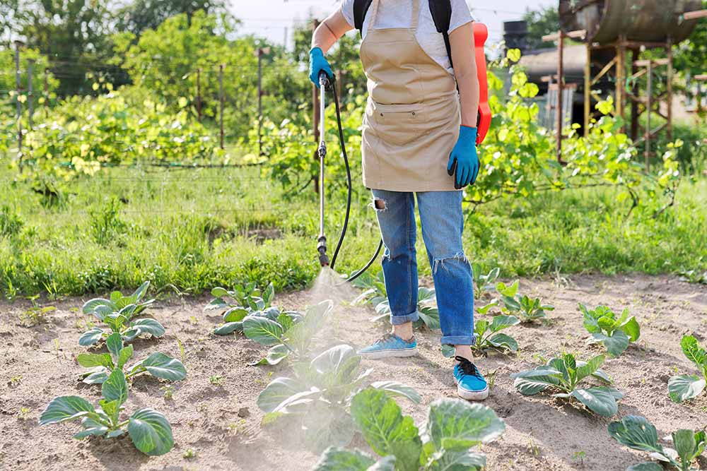Roundup Weed Killer | Uses, Safety & Cancer Risk by Consumernotice.org